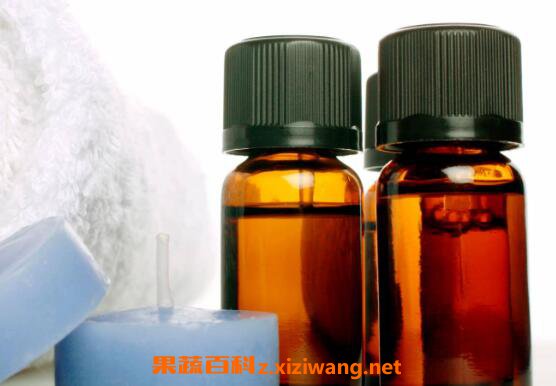 尤加利精油的功效与作用