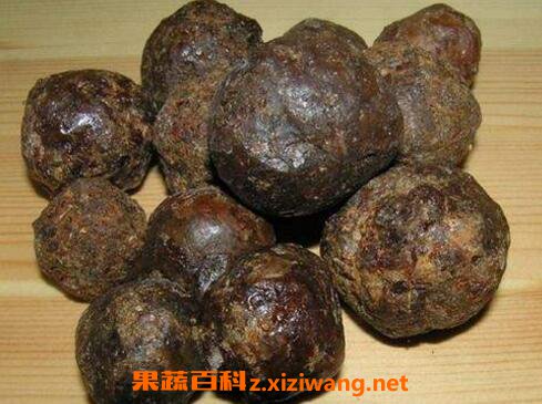 蜂胶胶囊如何吃 蜂胶的食用方法