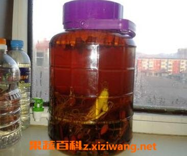 鹿茸枸杞泡酒有什么功效