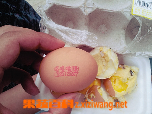 鸡蛋的保质期有多久