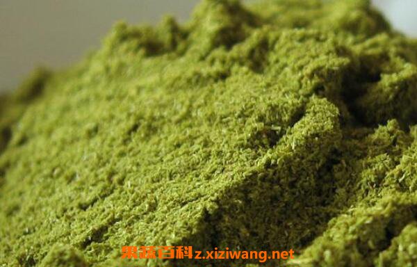 松针粉的功效与作用 吃松针粉的好处