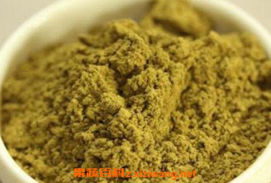 松针粉的功效与作用 吃松针粉的好处
