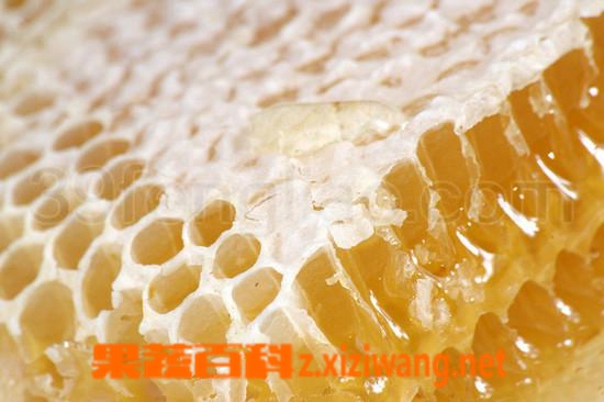 吃蜂胶的好处和坏处