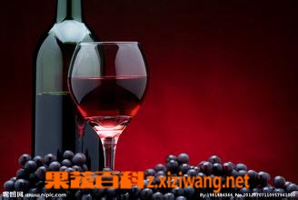 红葡萄酒保质期