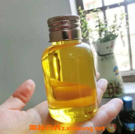 荷荷巴油的功效与作用