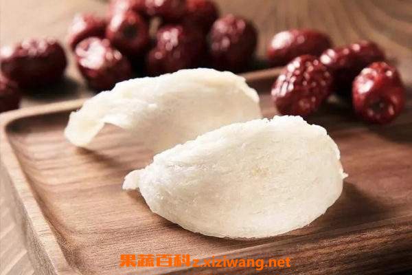 外国人为什么不吃燕窝 外国人不吃燕窝的原因