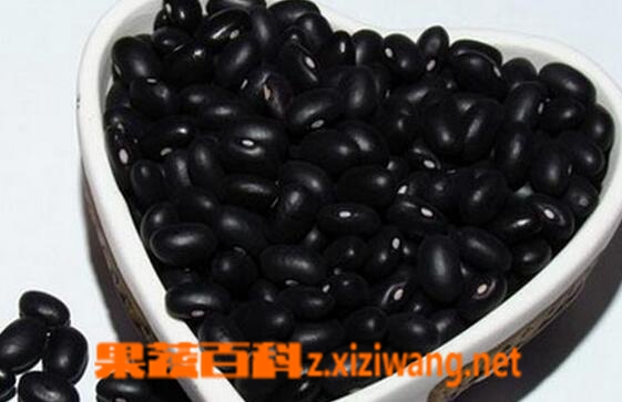 中医养肾吃什么好