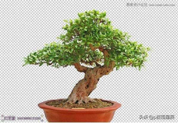 ps里面剪掉半圆怎么剪 ps怎么画半圆