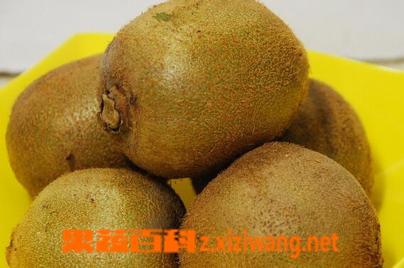 常见的抗癌食物有哪些 哪些食物能抗癌
