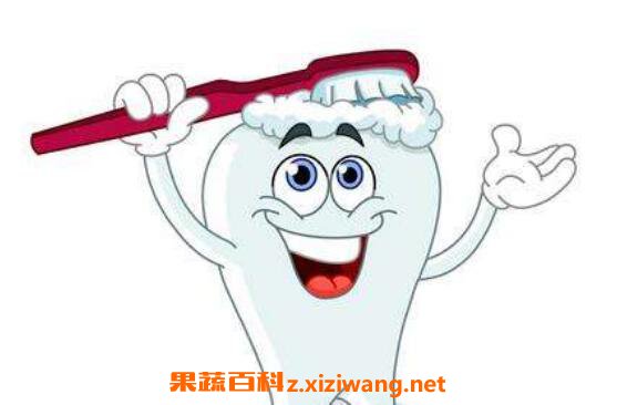 刷牙齿的正确方法 正确刷牙方法图解
