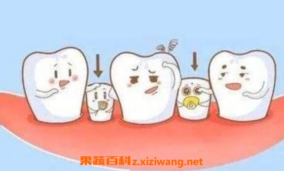 刷牙齿的正确方法 正确刷牙方法图解