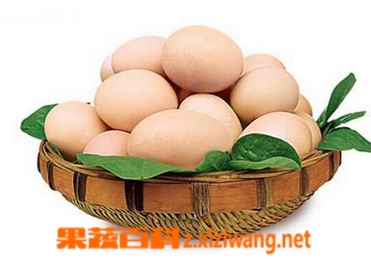 鸡蛋的过敏症状 怎么判断鸡蛋过敏