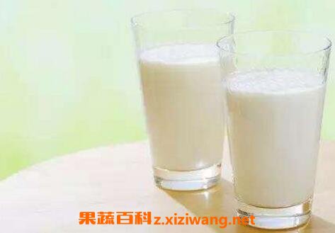 牛奶什么时候喝最好 喝牛奶的时间选择