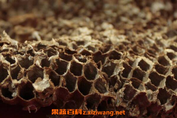 蜂窝泡酒的作用与功效 蜂窝怎么泡酒
