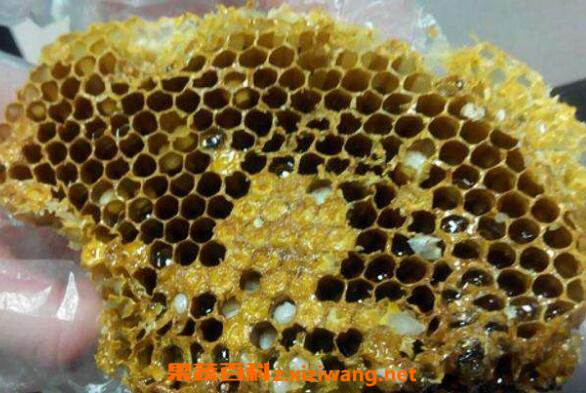 蜂窝泡酒的作用与功效 蜂窝怎么泡酒