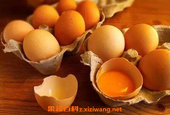 补脑的食物有哪些 能补脑提高记忆力的食物
