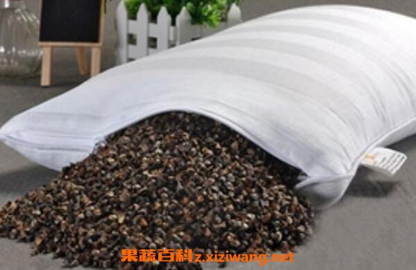 荞麦枕头的功效与作用 用荞麦枕头的好处