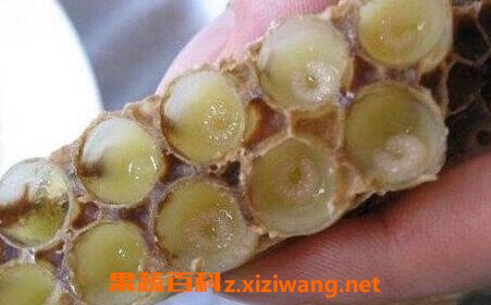 蜂王浆真假辨别方法