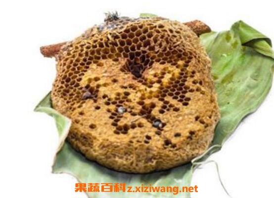 蜜蜂窝熬水能治什么病 蜜蜂窝煮水的作用