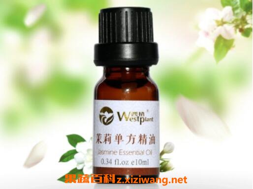 茉莉精油如何用 茉莉精油的功效与用法