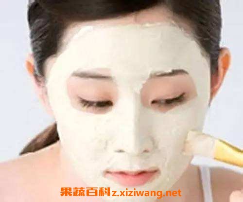 珍珠粉蜂蜜面膜的材料和做法教程