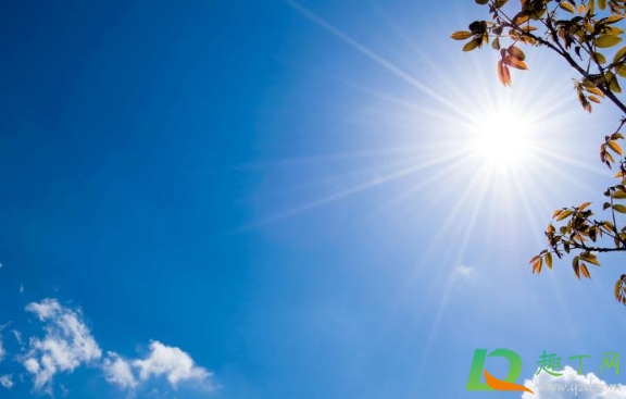 夏天饮食注意事项 2021年夏天第一天是几月几日