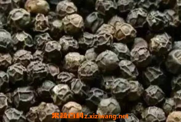 黑胡椒精油的功效与作用 黑胡椒精油的用途