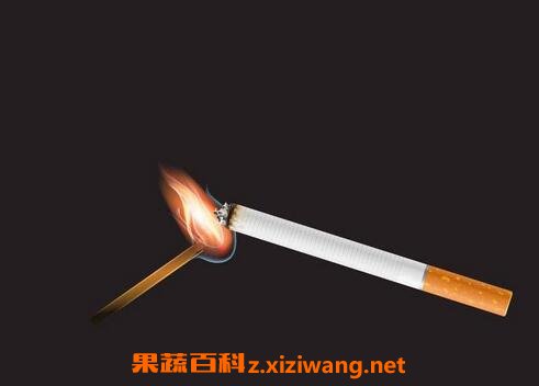 吸烟的危害有哪些 吸烟有哪些害处