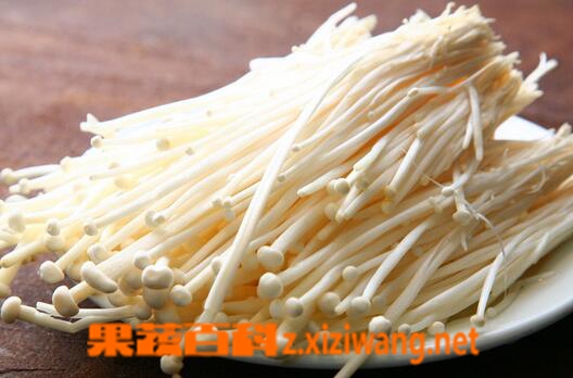 过敏性鼻炎吃什么食物好