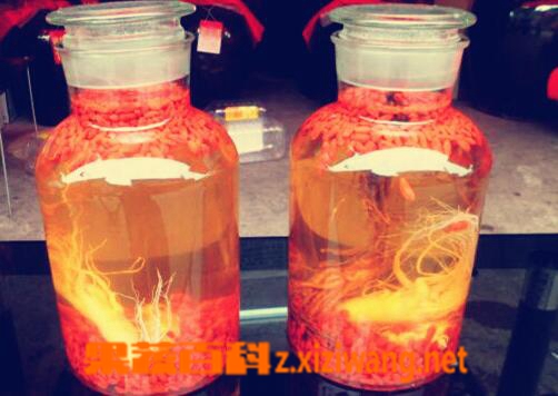 肾虚怎么办 补肾的常见偏方