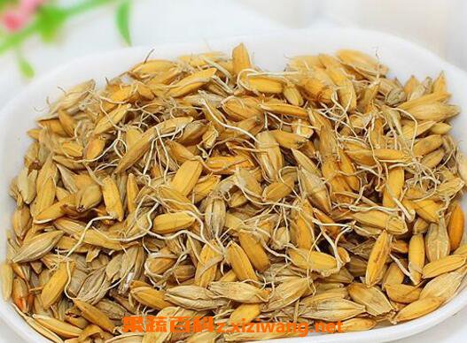 回奶的食物有哪些 回奶的食物一览表