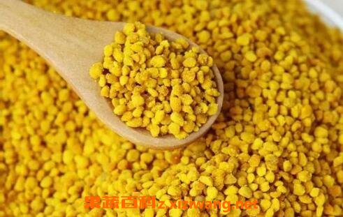 蜂花粉的副作用和食用禁忌