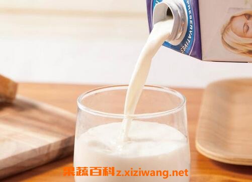 牛奶的营养价值与功效 常喝牛奶的好处