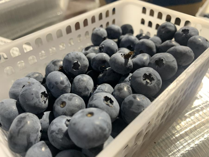 蓝莓一天吃几颗对眼睛好 蓝莓吃多了会怎么样