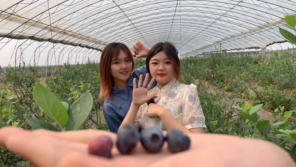 蓝莓一天吃几颗对眼睛好 蓝莓吃多了会怎么样
