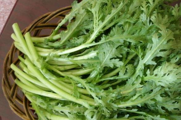 大茼蒿的功效与作用 吃大茼蒿的好处有哪些