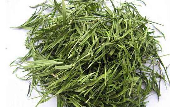 竹叶茶的功效与作用及禁忌