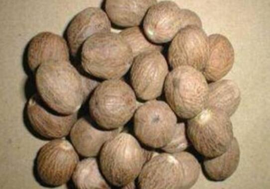 红豆蔻与白豆蔻的区别 红豆蔻的功效