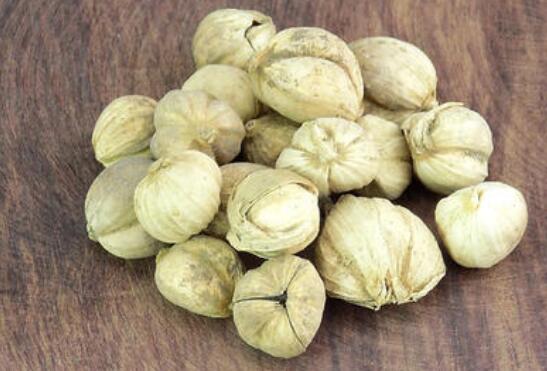 红豆蔻与白豆蔻的区别 红豆蔻的功效