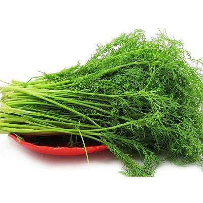 茴香菜怎么做好吃 新鲜茴香菜的家常做法教程