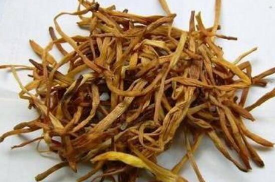 针菜根的功效与作用 针菜根的副作用