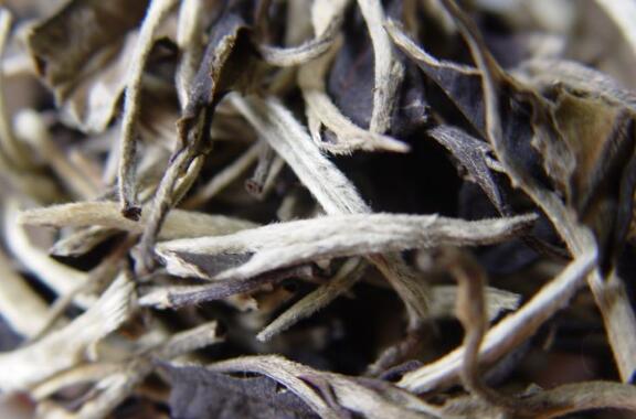 月光白茶的功效与作用 月光白茶是什么茶