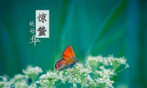 今天听到一句古话:惊蛰不冻虫,寒到五月中,这句话是什么意思?有道理吗?