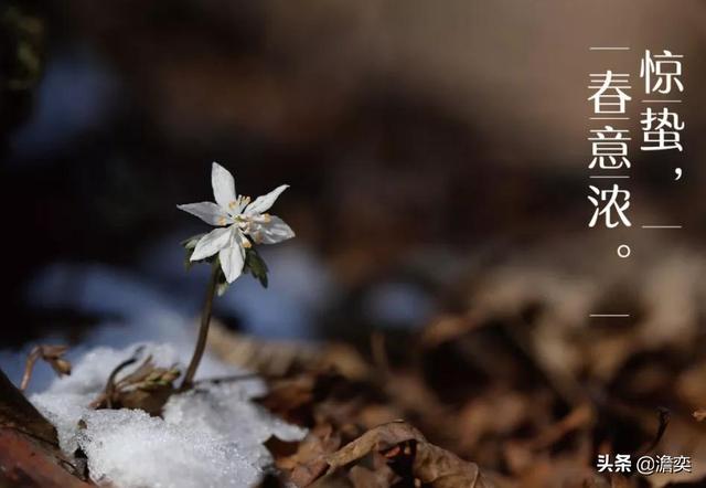 今天听到一句古话:惊蛰不冻虫,寒到五月中,这句话是什么意思?有道理吗?