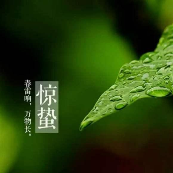 今天听到一句古话:惊蛰不冻虫,寒到五月中,这句话是什么意思?有道理吗?