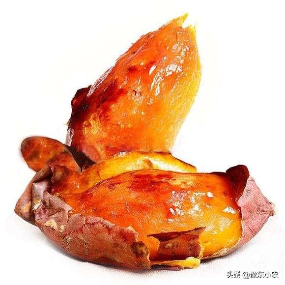 烟薯25号红薯很好吃,怎么种植才能实现高产?