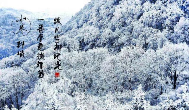 小寒快到了,老农说“小寒暖,立春雪”有道理吗?小寒不寒吗?
