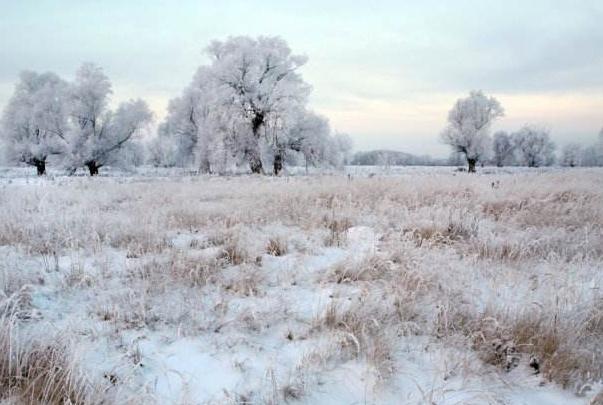 小寒快到了,老农说“小寒暖,立春雪”有道理吗?小寒不寒吗?