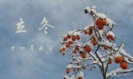 农村俗语“宁要重阳十三雨,不要立冬一日晴”,是啥意思,和农业收成有关吗?