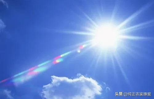 农村俗语“宁要重阳十三雨,不要立冬一日晴”,是啥意思,和农业收成有关吗?